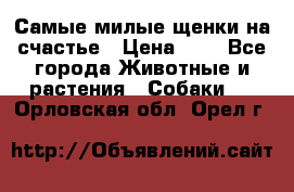 Самые милые щенки на счастье › Цена ­ 1 - Все города Животные и растения » Собаки   . Орловская обл.,Орел г.